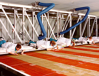 The conservation lab